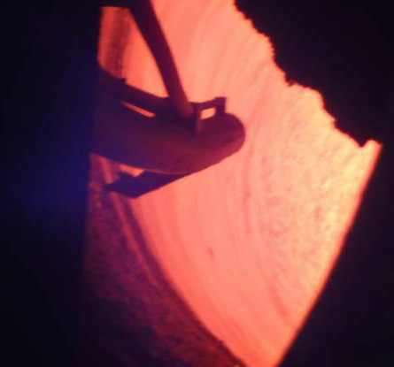 ���D�G�t�G